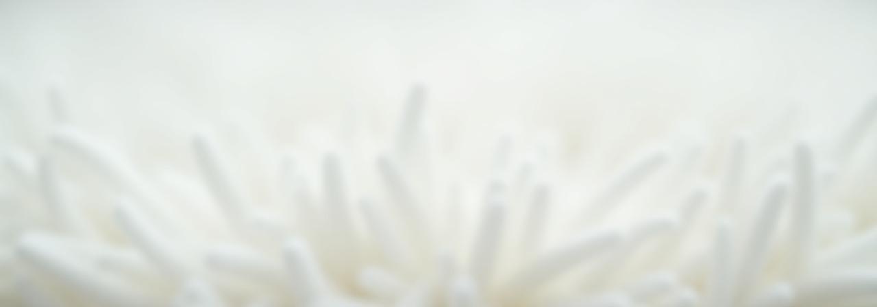 Clean carpet close up